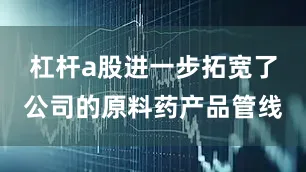 杠杆a股进一步拓宽了公司的原料药产品管线