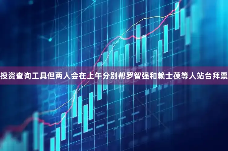 投资查询工具但两人会在上午分别帮罗智强和赖士葆等人站台拜票