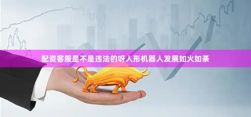 配资客服是不是违法的呀人形机器人发展如火如荼