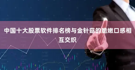 中国十大股票软件排名榜与金针菇的脆嫩口感相互交织